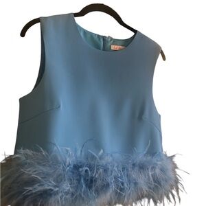 Elegant Blue Feather Trim Blouse, not cropped but shorter length NWOT